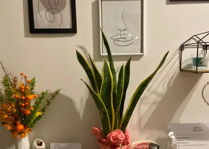 Le Fonti Di Veggio Bed and Breakfast